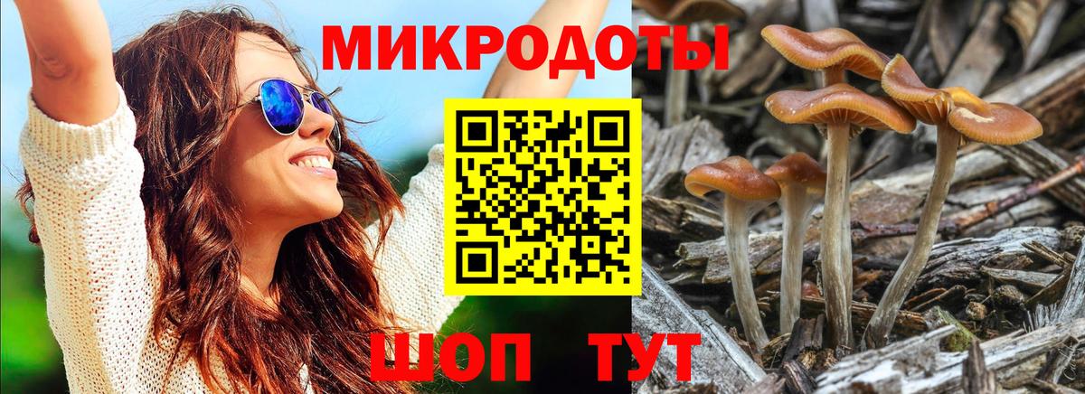 Галлюциногенные грибы Magic Shrooms  Вход с VPN  Кировск  Галлюциногенные грибы GOLDEN TEACHER 