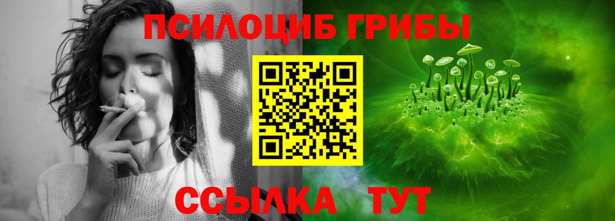 Галлюциногенные грибы GOLDEN TEACHER Кировск